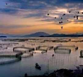 东海伴游中国网景点丰富(旅游网介绍)