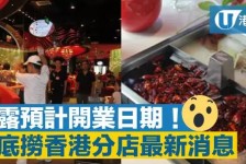 东海香港酒店雇用高薪伴游(高端伴游雇用)