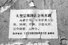 东海珠海伴游雇用网(珠海游览社雇用信息)