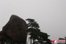 东海上海伴游私家陪游雇用女模(上海伴游私家陪游雇用女模特)