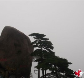 东海上海伴游私家陪游雇用女模(上海伴游私家陪游雇用女模特)