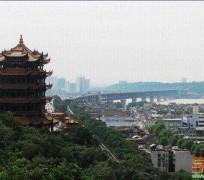 东海武汉游玩攻略(武汉游玩攻略ppt)
