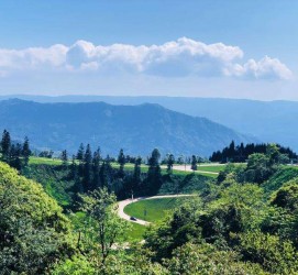 东海跟随伴游网体验中国首个养生胜地(成都早餐培训是真的吗)