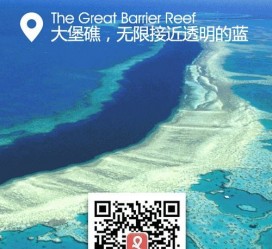 东海中国250家旅行社结伴游新西兰(新西兰当地旅行社)