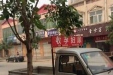 东海上海伴游 用伴游造句大全(5