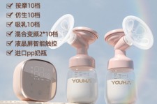 东海奶模(奶模型)