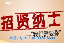 东海酒店雇用伴游(酒店雇用伴游办事员)