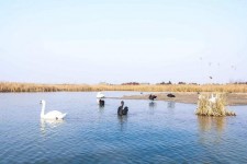 东海南昌附近伴游小妹兼职(1534939978姐的微信德惠市)