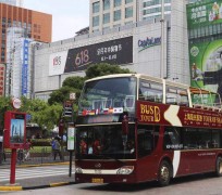 东海上海私人伴游 上海过年怎么玩？这些“微游”线路了解下→