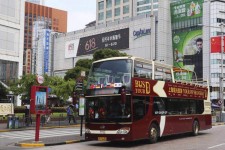 东海上海私人伴游 上海过年怎么玩？这些“微游”线路了解下→
