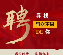 东海商务伴游招聘 重庆星级酒店诚招司机服务员夜场保安