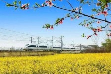 东海高铁游(高铁游戏下载手机版)