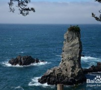 东海旅游全攻略(上海旅游全攻略)
