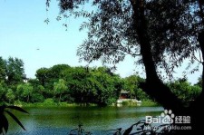东海西湖旅游攻略(上海到杭州西湖旅游攻略)