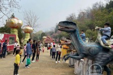 东海中国伴游带你打卡网红南山竹海(南山竹海网上预约)