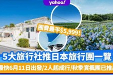 东海旅游价格(旅游价格机制)