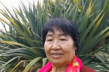 东海白叟带老伴游半个中国(白叟外出旅游)