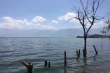 东海洱海旅游攻略(洱海旅游攻略自由行)
