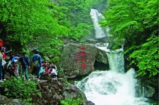 东海安吉旅游攻略(湖州安吉旅游攻略)
