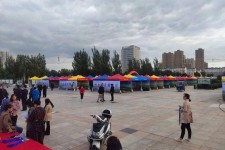 东海通辽伴游雇用(哈尔滨伴游雇用)