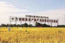 东海关于成都商务伴游外围雇用的信息