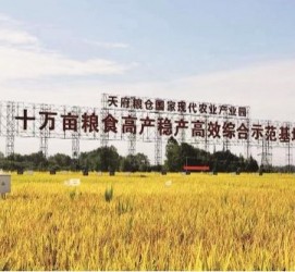 东海关于成都商务伴游外围雇用的信息