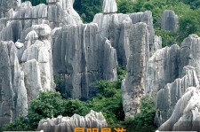 东海贵阳市游览社英语伴游雇用(贵阳市前十名游览社是哪几家)