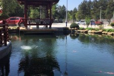 东海久久伴游**(久久游代理)