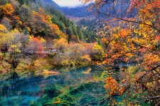 东海四川旅游攻略(四川旅游攻略十五日游)