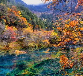 东海四川旅游攻略(四川旅游攻略十五日游)