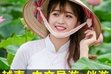 东海日本关东伴游中国(日本关西旅行)
