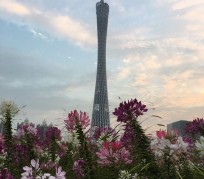 东海广州旅游攻略(杭州到广州旅游攻略)