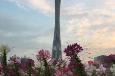 东海广州旅游攻略(杭州到广州旅游攻略)