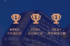 东海上海私人伴游 ​ “小而美”的新时代：2020年国内新跟团消费报告