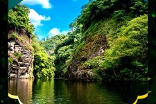 东海旅游报价(旅行团旅游报价)