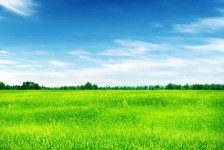 东海上海伴游 上海模特伴游微信号的交友宣言