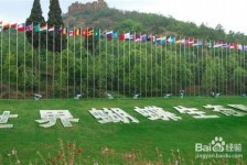 东海昆明旅游攻略(昆明旅游攻略景点大全抚仙湖)