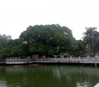 东海福州旅游攻略(福州旅游攻略二日游)