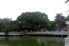 东海福州旅游攻略(福州旅游攻略二日游)