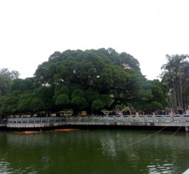东海福州旅游攻略(福州旅游攻略二日游)