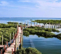 东海旅游哪里好玩(云南旅游哪里好玩)