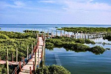 东海旅游哪里好玩(云南旅游哪里好玩)