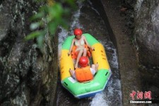 东海伴游中国三亚(三亚结伴旅游网)