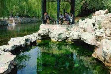 东海济南旅游攻略(青岛威海济南旅游攻略)