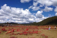 东海旅游去处(暑期最好的旅游去处)