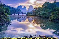 东海游跟团(旅游跟团)