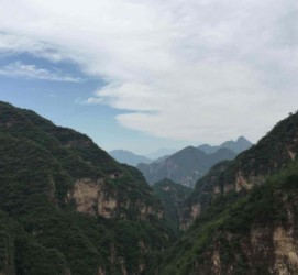 东海伴游中国伴游城(伴游网上海)