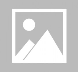 东海辽宁伴游雇用信息(辽宁伴游雇用信息最新)