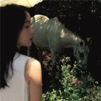 东海私家伴游让你拥有一次完美的旅游体验
