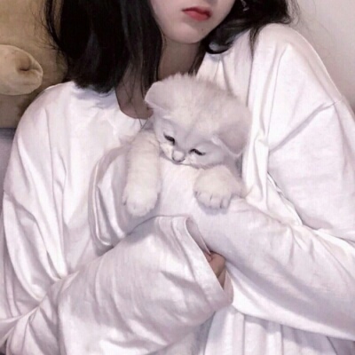东海伴游女生蕾鮑的资料
